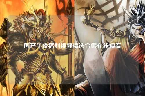 国产午夜福利视频精选合集在线观看