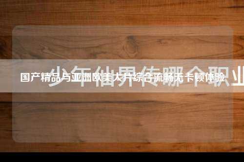 国产精品与亚洲欧美大片综合流畅无卡顿体验