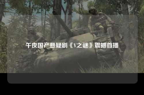 午夜国产悬疑剧《V之谜》震撼首播
