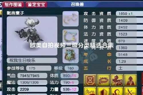 欧美自拍视频三级分类精选合集
