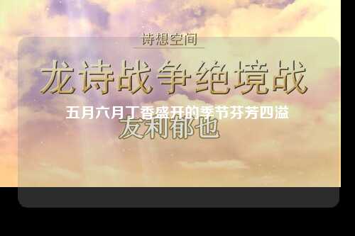 五月六月丁香盛开的季节芬芳四溢