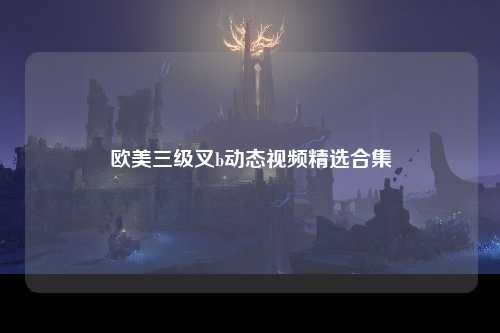 欧美三级叉b动态视频精选合集