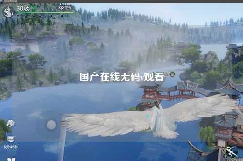 国产在线无码v观看