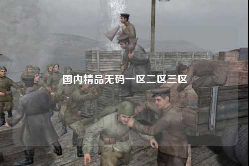 国内精品无码一区二区三区