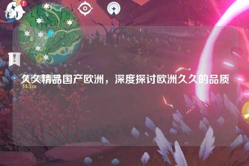 久久精品国产欧洲，深度探讨欧洲久久的品质
