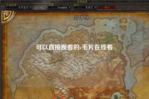 可以直接观看的v毛片在线看