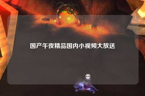 国产午夜精品国内小视频大放送
