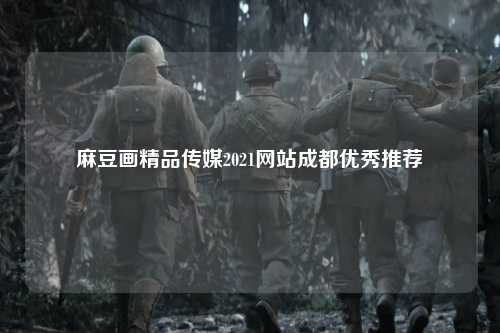 麻豆画精品传媒2021网站成都优秀推荐