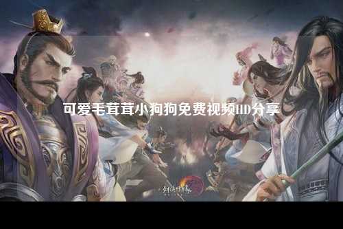 可爱毛茸茸小狗狗免费视频HD分享